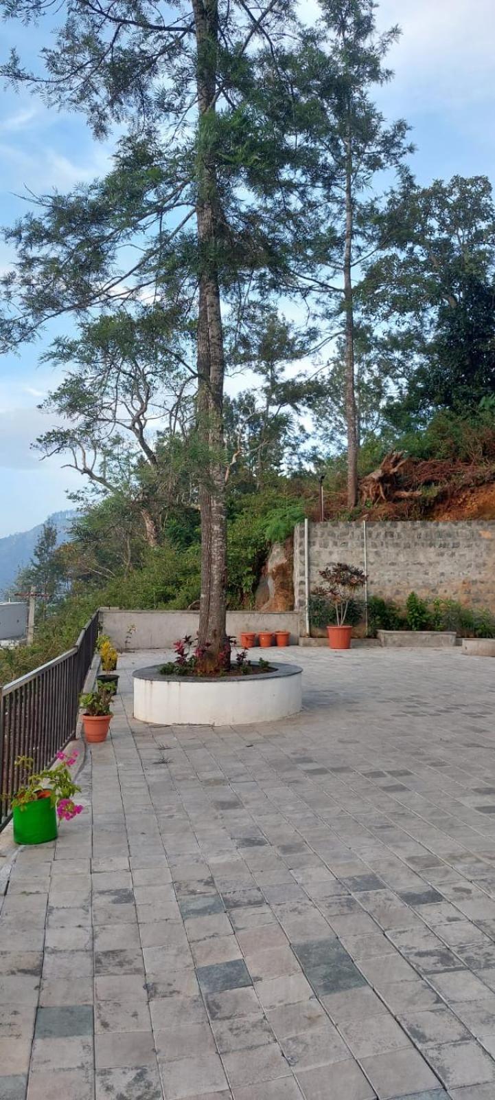 Hilltop In Greany Meadows Yercaud Esterno foto